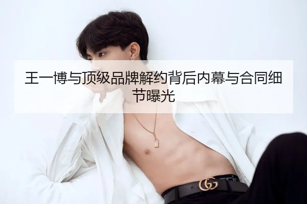 王一博与顶级品牌解约背后内幕与合同细节曝光