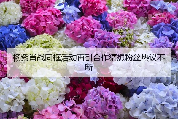 杨紫肖战同框活动再引合作猜想粉丝热议不断